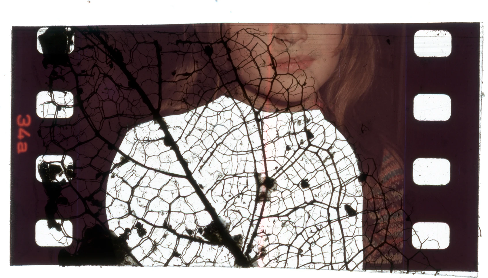 Selfportrait