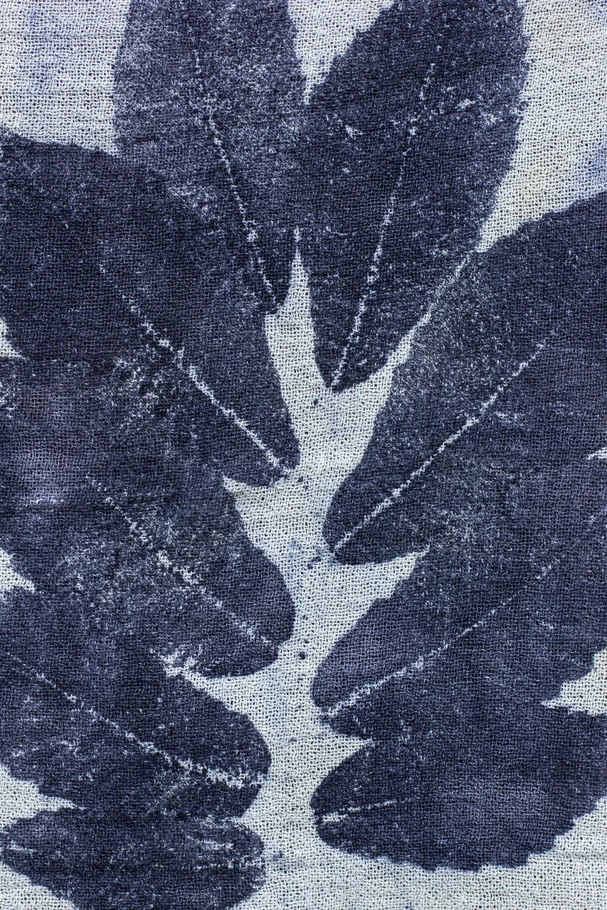 Ecoprint Castano 008 24