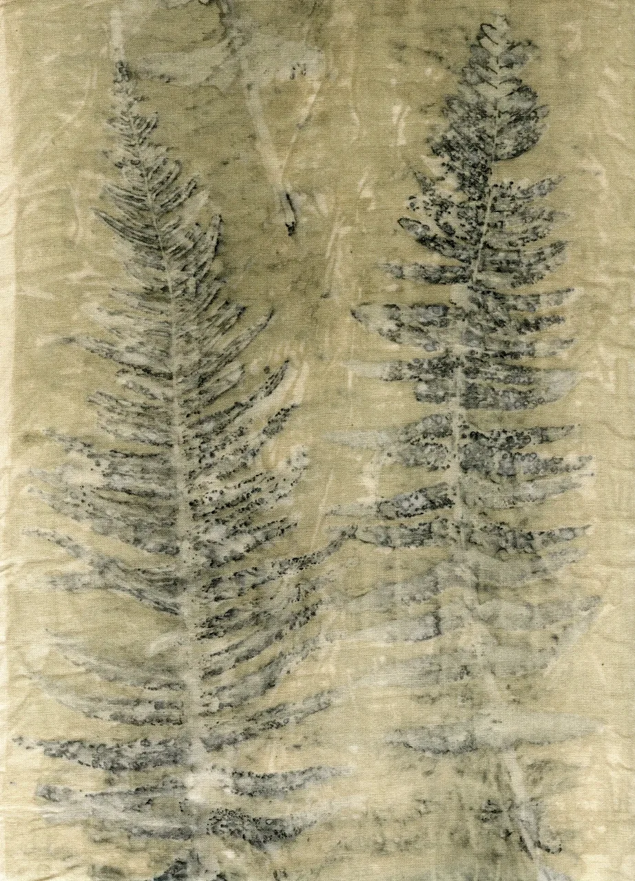 Ecoprint Helecho 004 25