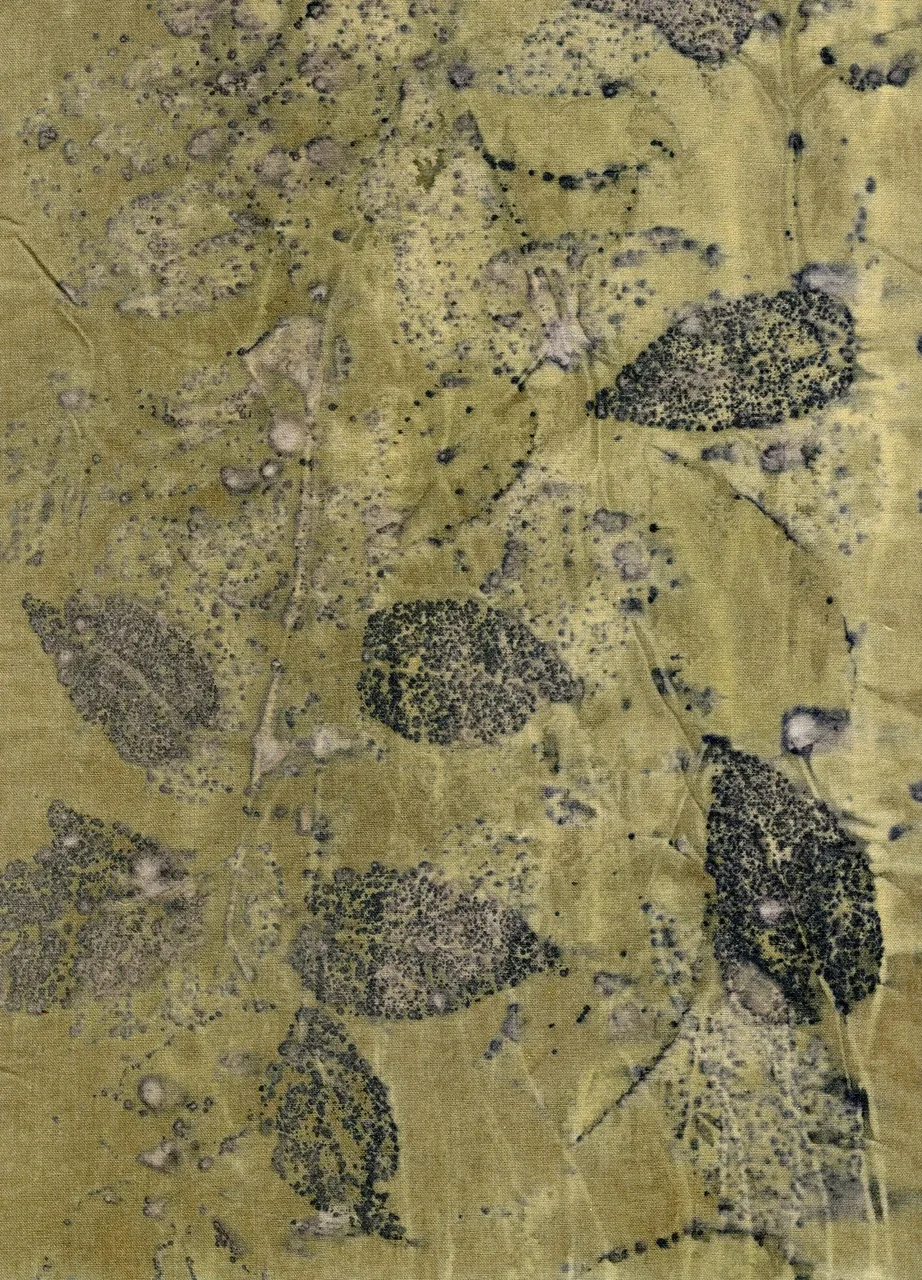 Ecoprints