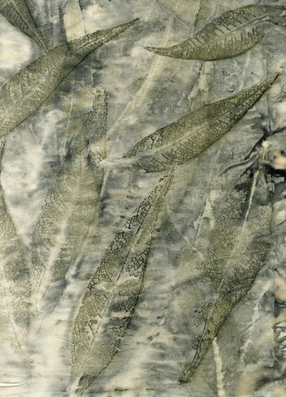 Ecoprint Panil 001 24