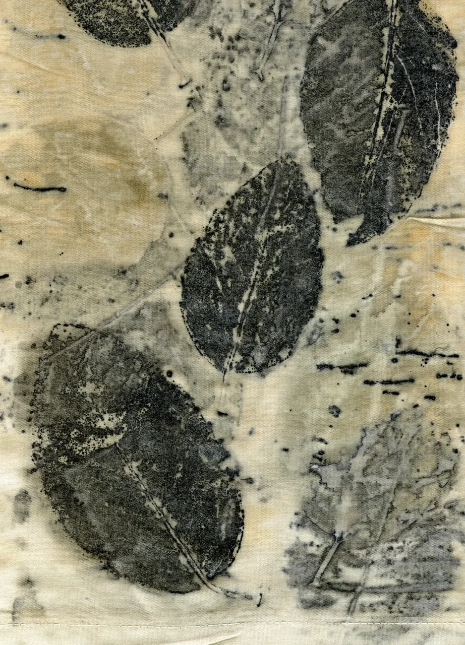 Ecoprint Radal 005 24